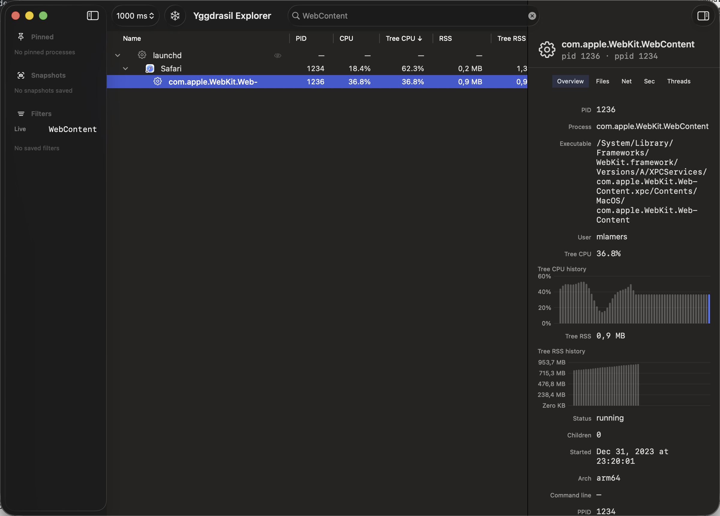 Yggdrasil Explorer showing a process and its overview inspector