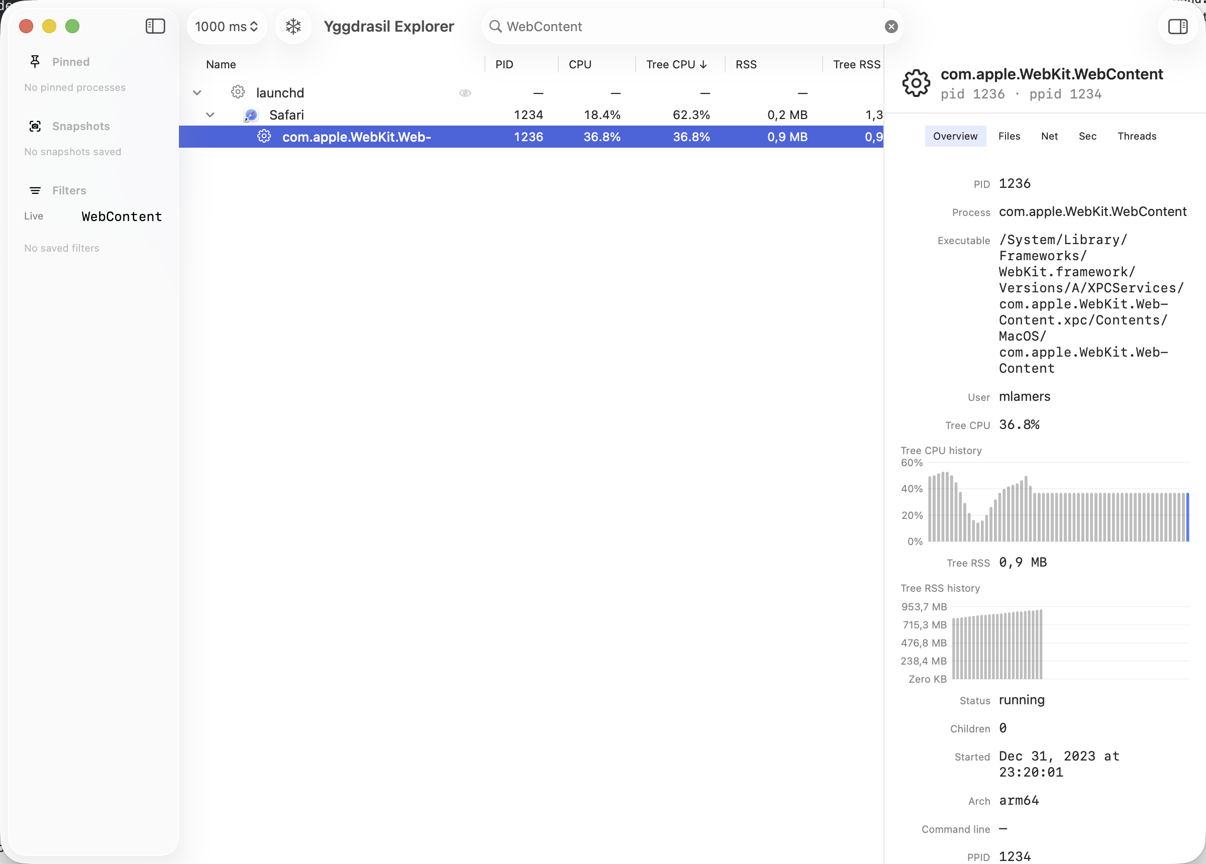 Yggdrasil Explorer showing a process and its overview inspector
