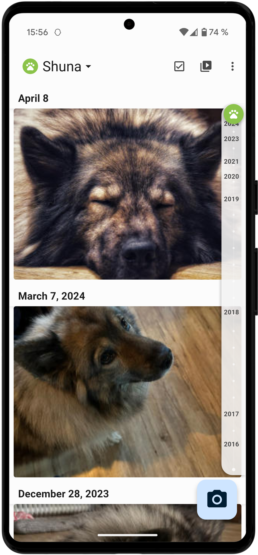 Mirroly App Preview